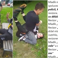 Rvačku s revizorem mladík prohrál