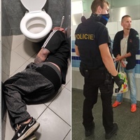 Medvěd a jemu podobní prakticky ovládají nádraží