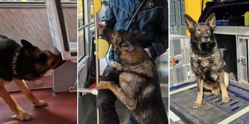 Policisté se psy vycvičenými k vyhledávání drog a výbušnin vyrazili trénovat do tramvají