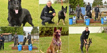 Zadržení agresivního pachatele, stopování, ale i vyhledávání předmětů a poslušnost