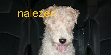 Tom je doma, děkujeme!