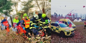 Kráva velice vážně zranila muže