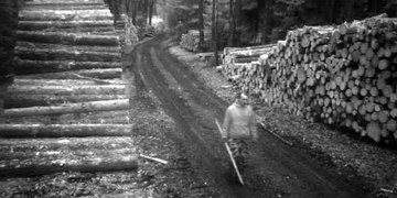 Zloděj v lese ukradl fotopast, nepoznáte ho?