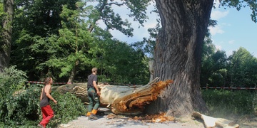 Plzeňáci pozor! Z důvodu bezpečnosti je uzavřena Kilometrovka