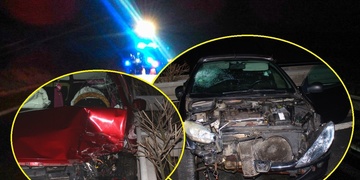 Muž autem smetl kance, když šel označit místo nehody, přejela ho další řidička