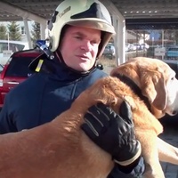 Po záchraně lidí ve tmě a po hmatu zachraňovali i přiotrávené psy