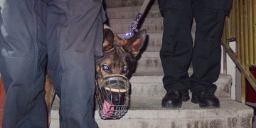 Grimovi parta feťáků z auta neutekla a řidička se zákazem byla pod vlivem OPL