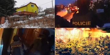 Akce Dallas - padly čtyři profi pěstírny