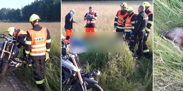 Střet motorkáře s divočákem