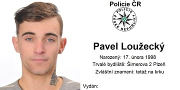 Pátrání po zloději a bytaři