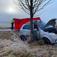 Řidič náraz do stromu nepřežil