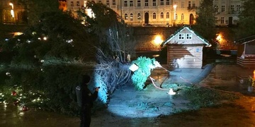 Pád vánočního stromu