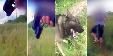 Appolo pachateli hloupé nápady velmi rychle rozmluvil