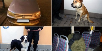 Mrtvola, útoky na auto i výlohu a opilci