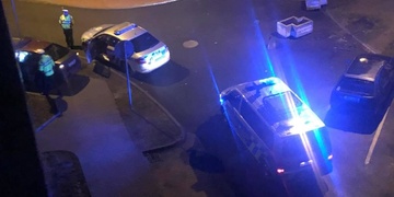 Řidič zbaběle opustil svého psa - Kokršpaněl je teď v útulku