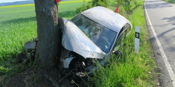 Řidička se údajně vyhýbala srně