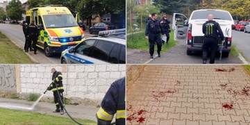 Muže na Slovanech potrhal pes