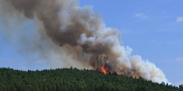 Rozsáhlý lesní požár, hasiči už nasadili i vrtulník