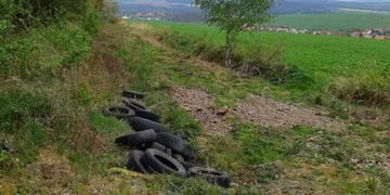 Policisté pátrají po svědcích prasáctví u Bušovic