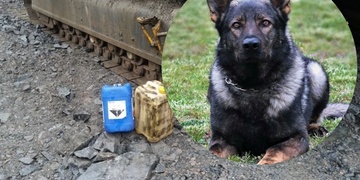 Zloděje nafty zadržel policejní pes Pret