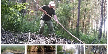 Neznámý vandal ničí bobří hráze