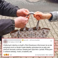 Zahnal jste lupiče a vrátil ženě kabelku?