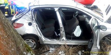 Auto s pěti mladými lidmi narazilo do stromu