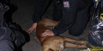 Děkujeme, jste LIDÉ! O Ronyho život jste bojovali víc, než 20 minut!