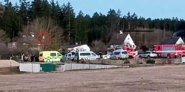 Nahý muž vylezl na strom a vyhrožoval sebevraždou