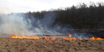Polní požár u Vejprnic ovlivnil i železniční dopravu