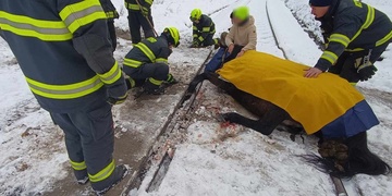 Kůň uvízl na železniční trati