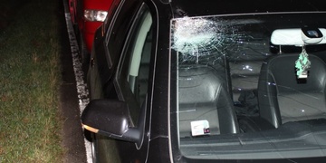 Osobní vozidlo se střetlo s koněm