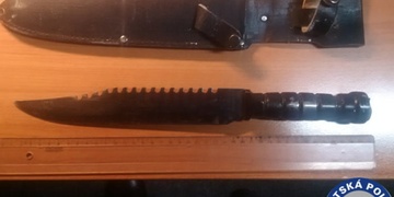 Strážníkům za zády ukradl telefon