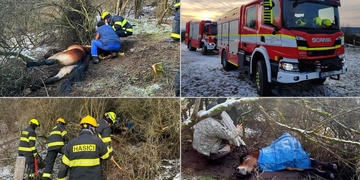 Záchrana koně se bohužel nezdařila