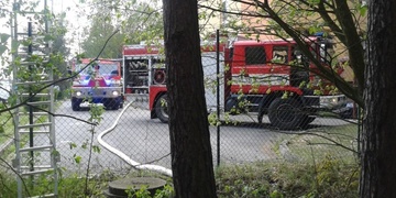 Požár lesa v Horní Bříze